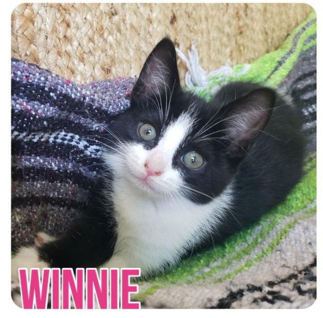 Winnie