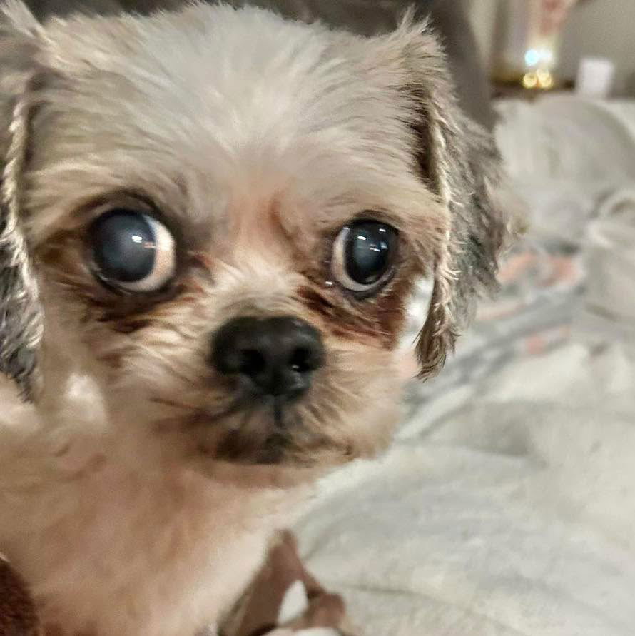 Gina
