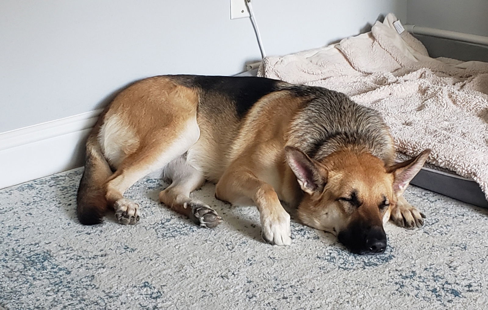 Kaya