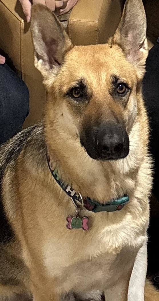 Kaya Photo