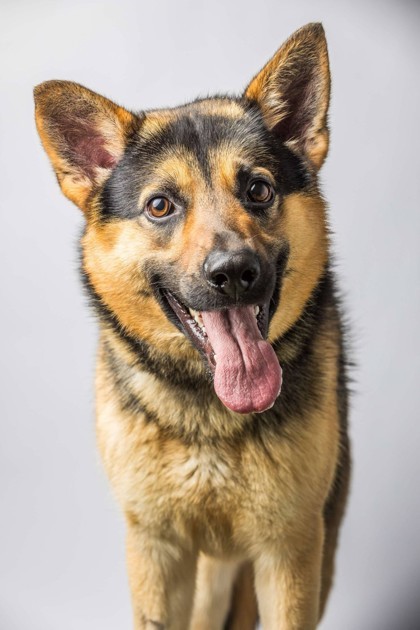 Yoda