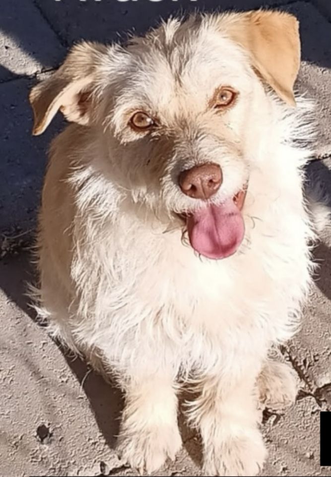 Mia