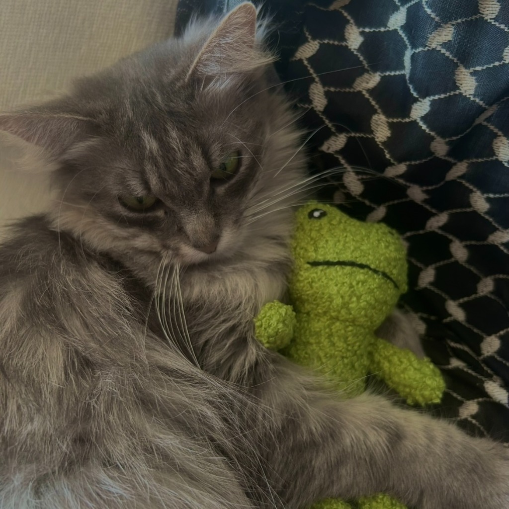 Merida - Pending Adoption / Elinor