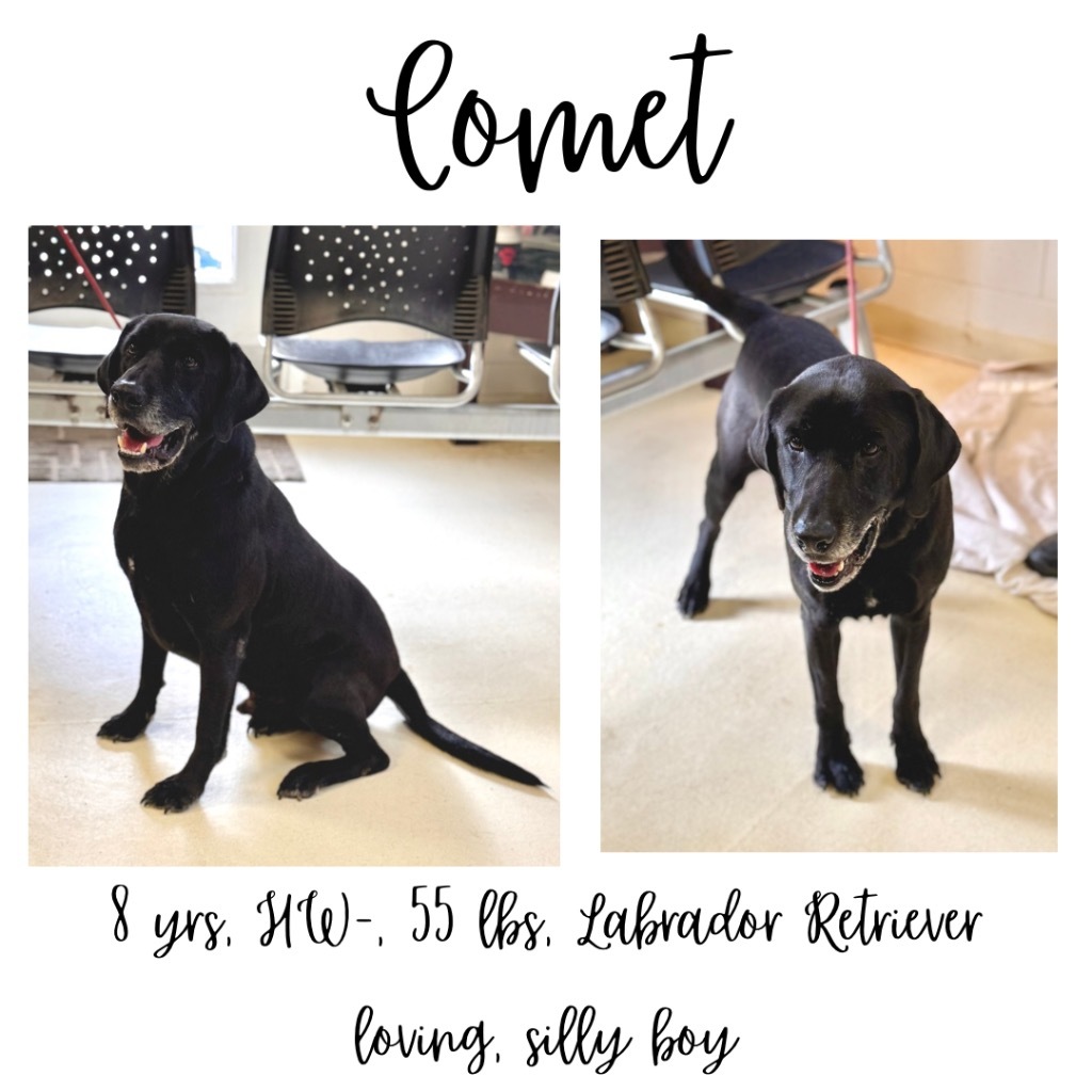 Comet ( aka Thrasher)