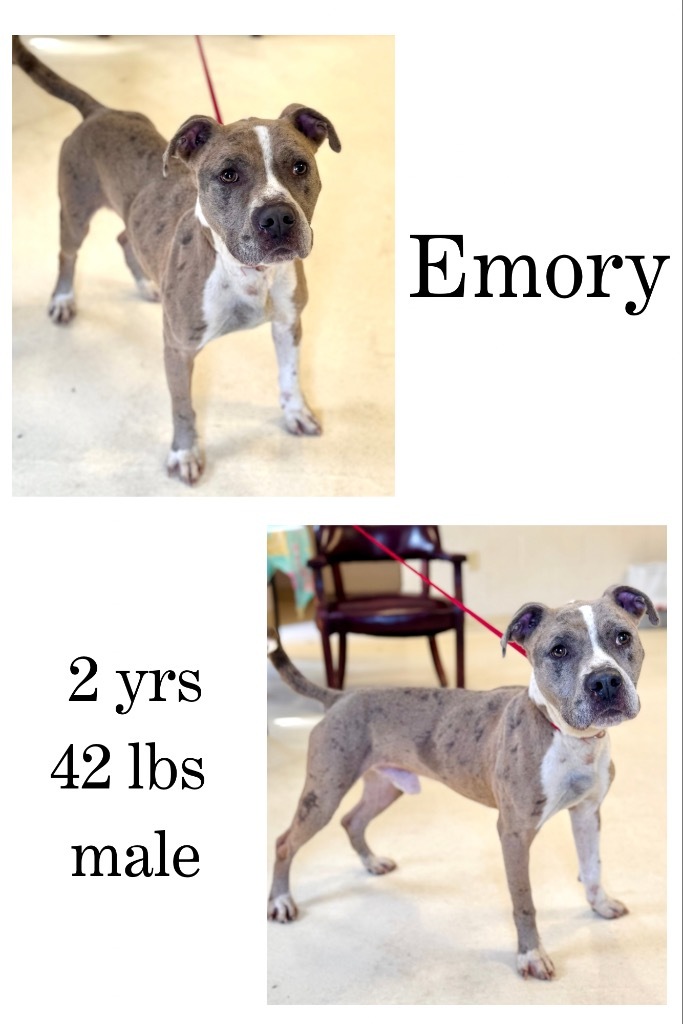 Emory