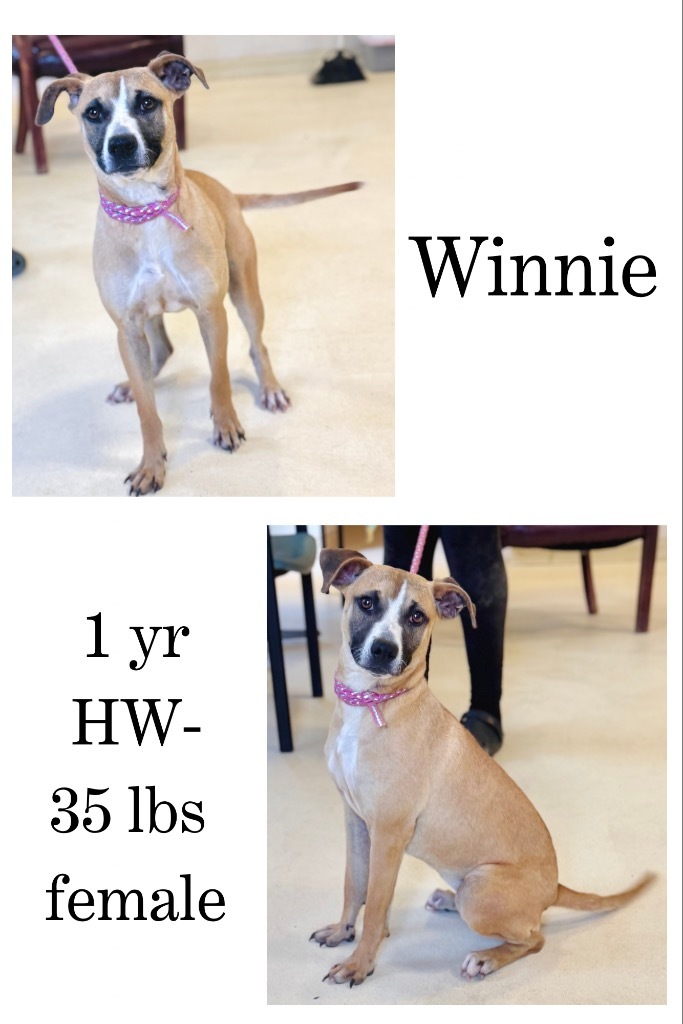 Winnie
