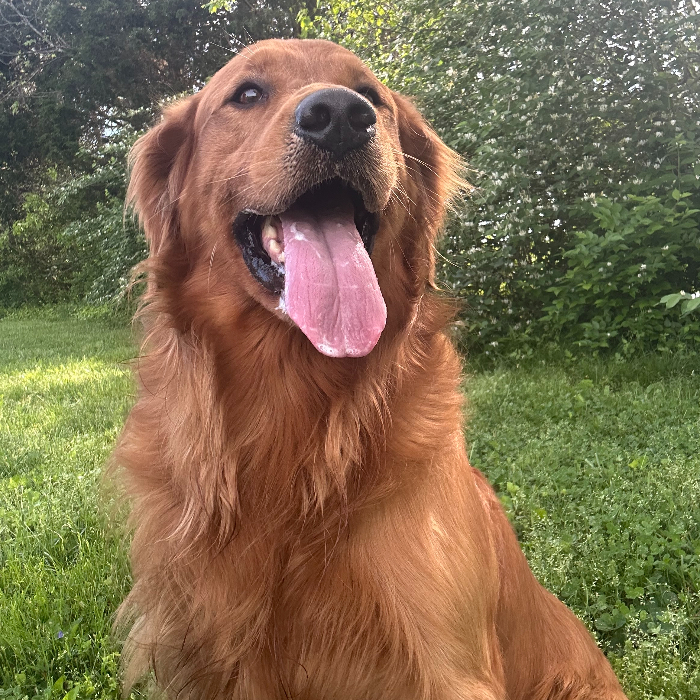 Buddy 2