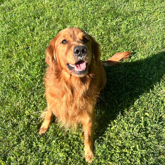 Buddy 5