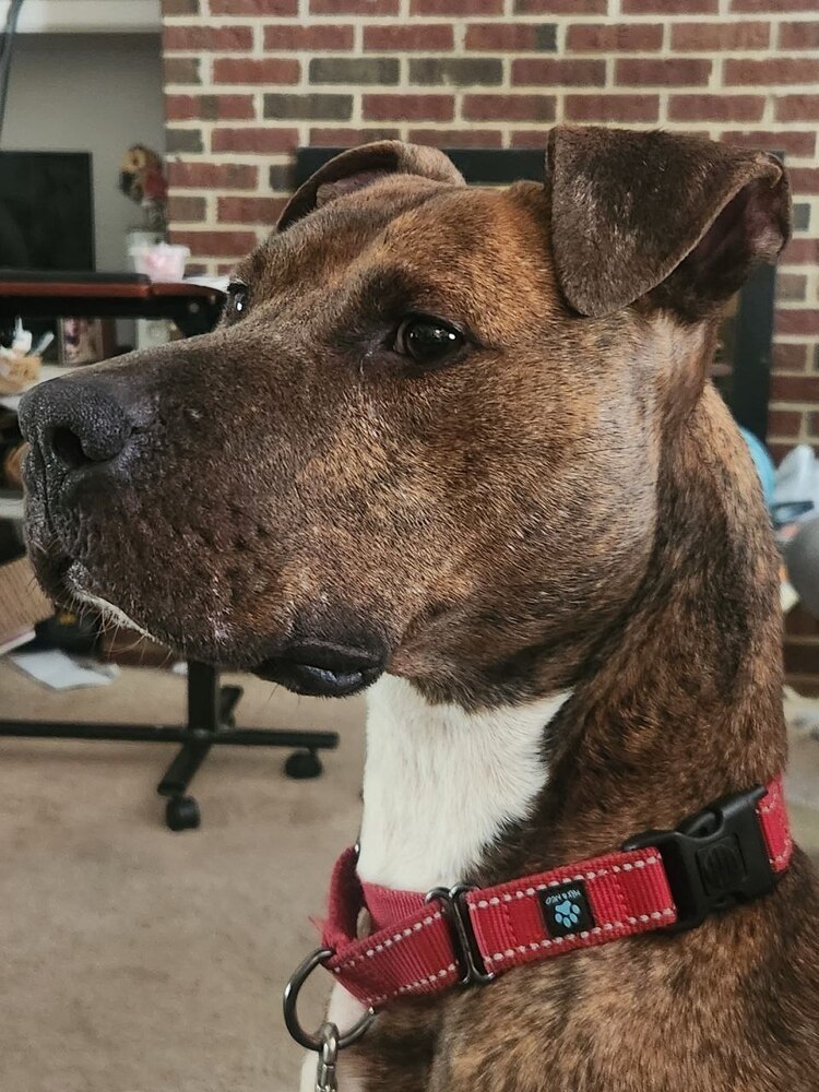 Patch
