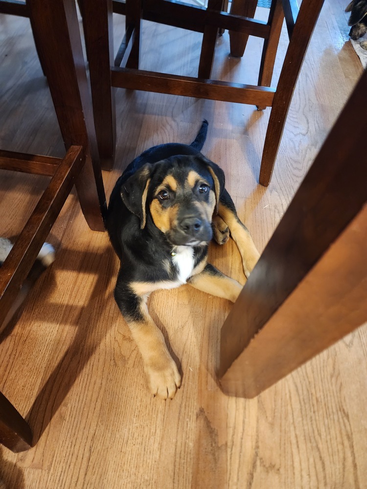 Keebler