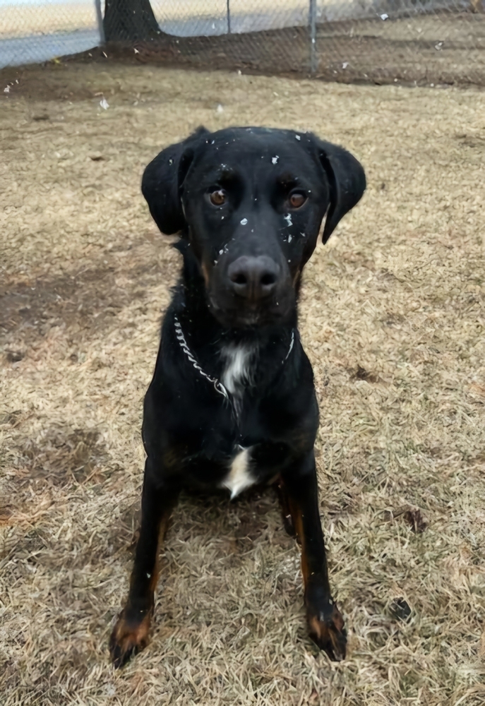 Jack (was Twix)