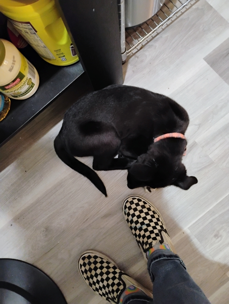 Victor