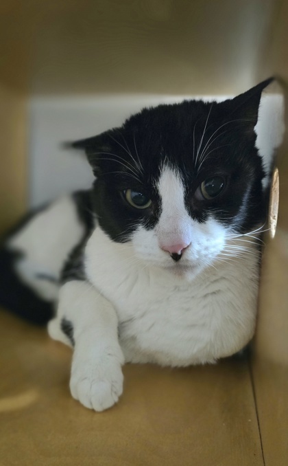 Grumpsterson