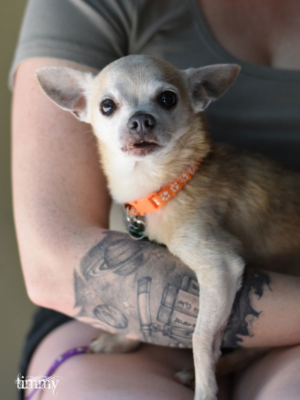 Timmy