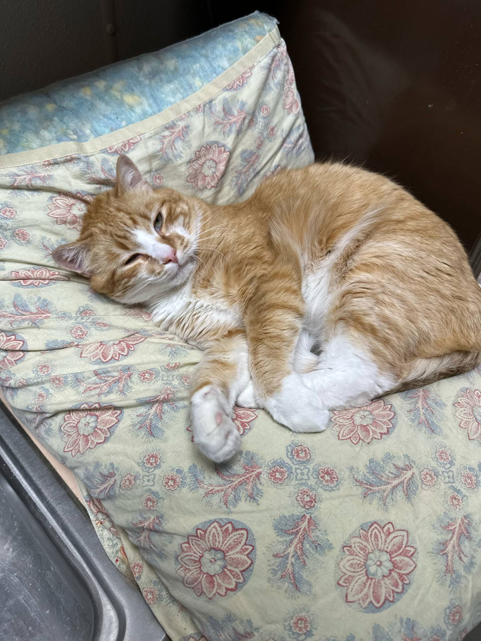 Stanley