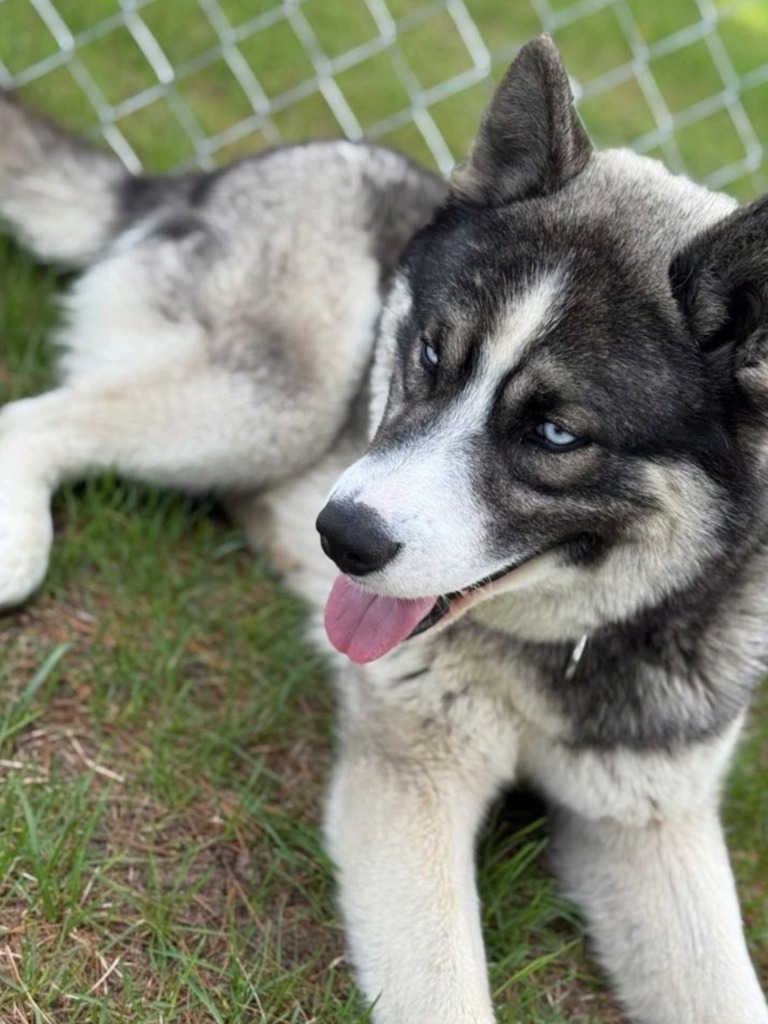 Yukon
