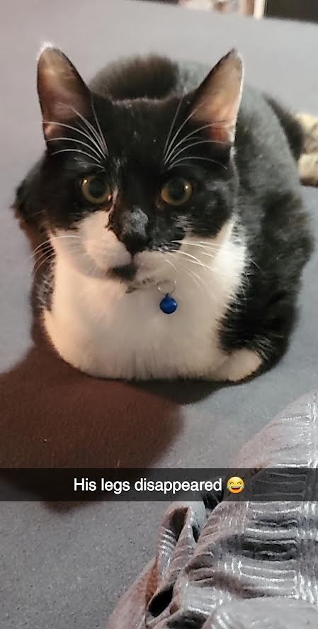 Gus Gus