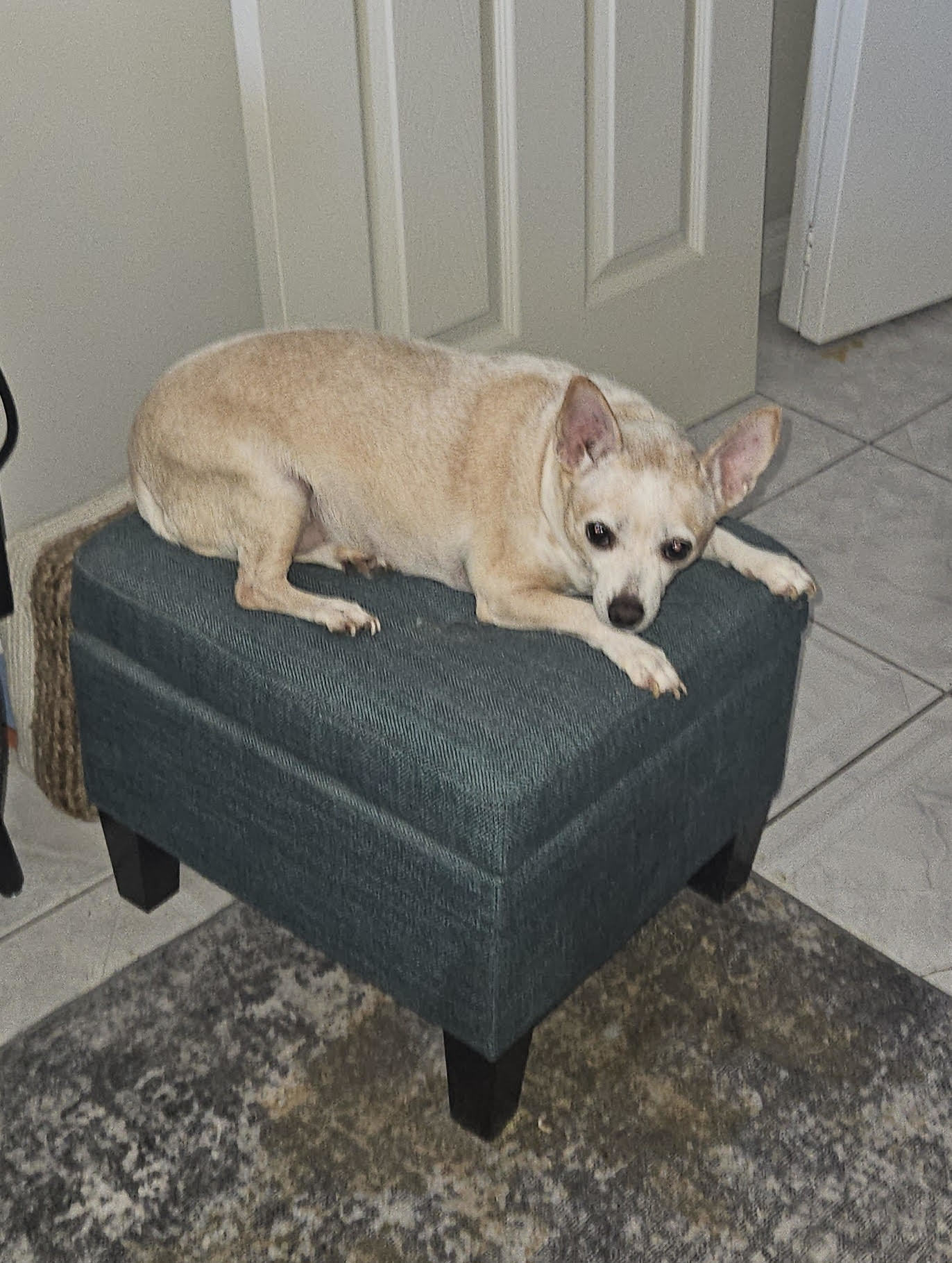 NONA
