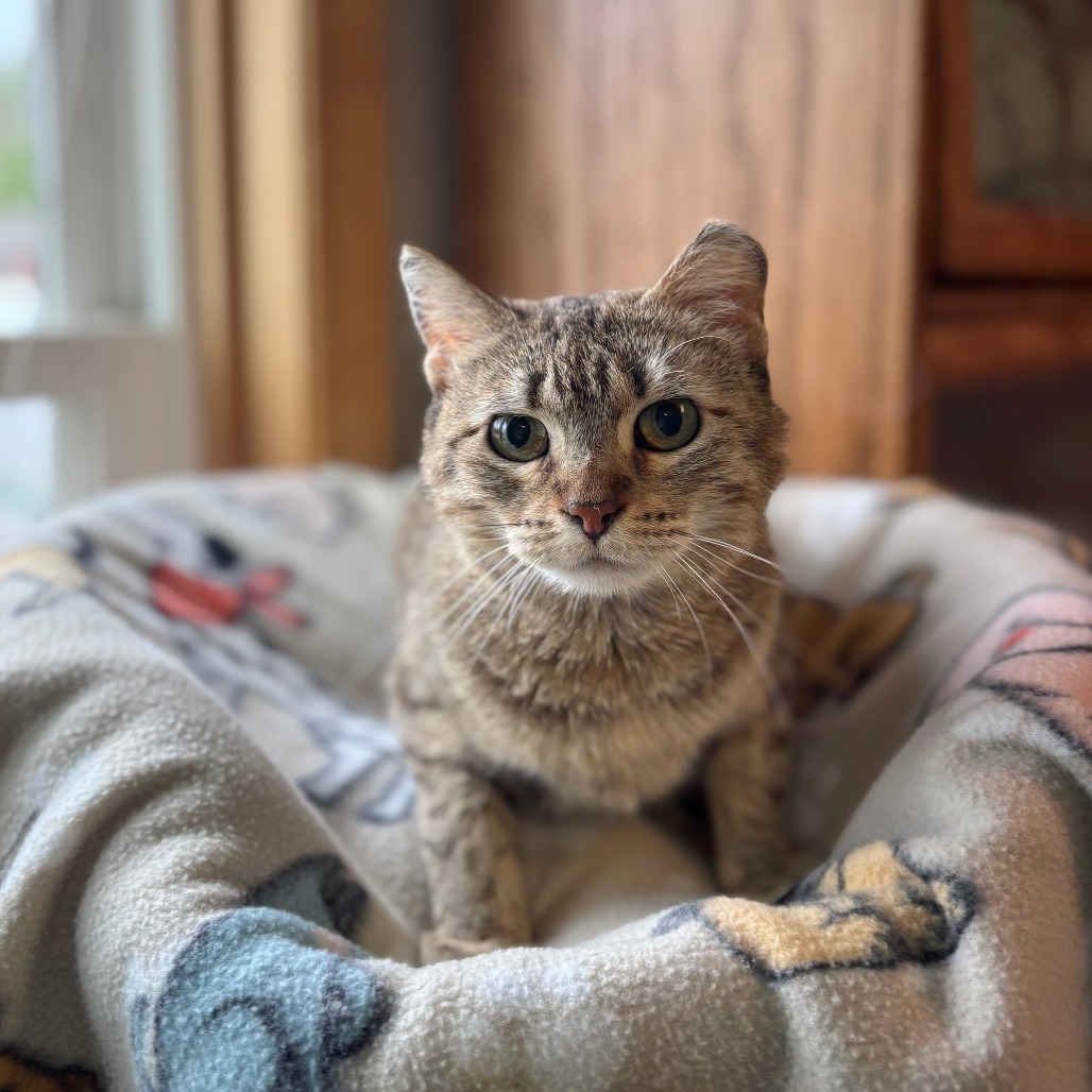 Rita--In Foster
