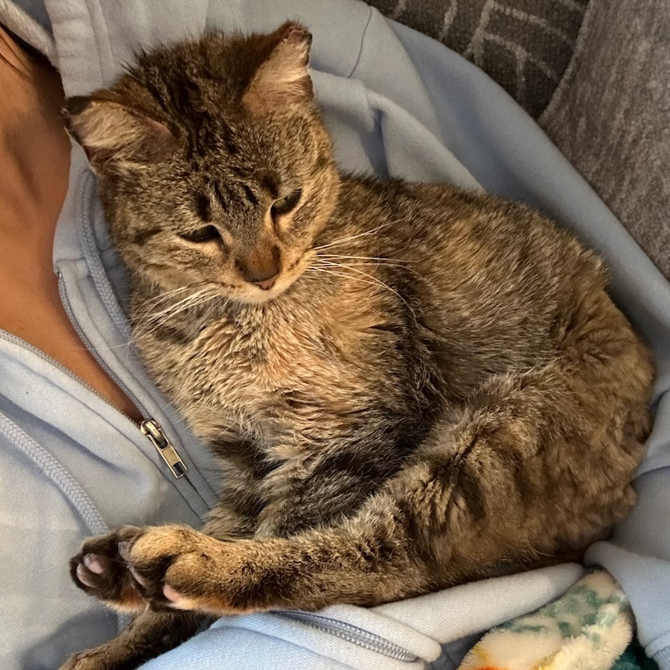 Rita--In Foster