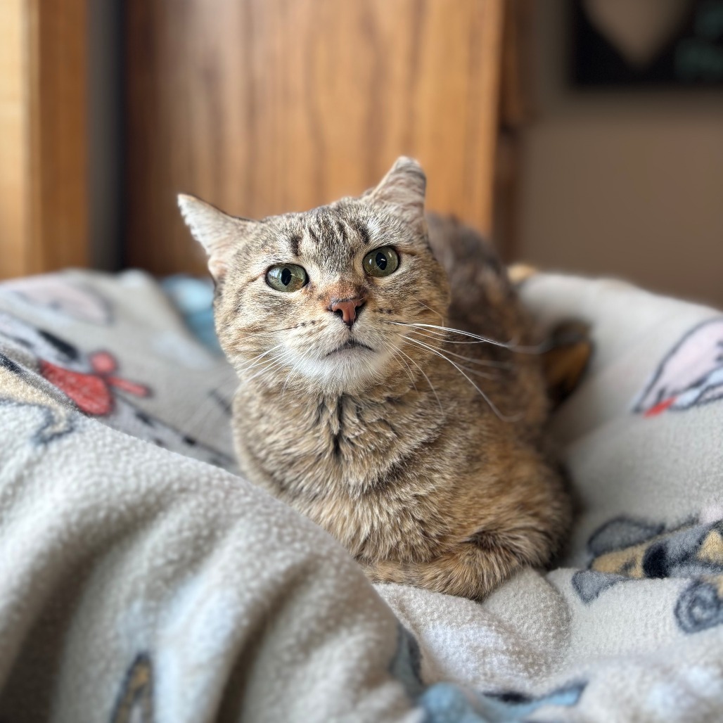 Rita--In Foster
