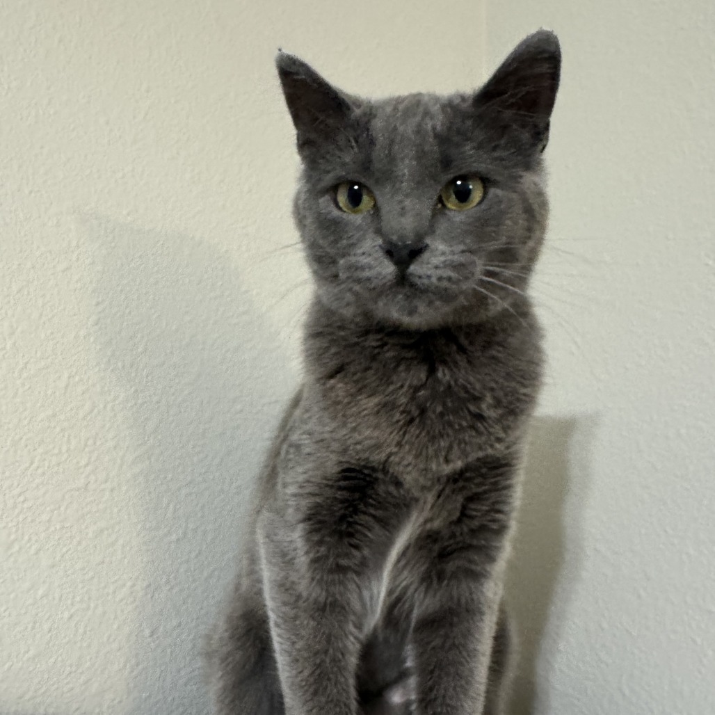 Maxine--In Foster