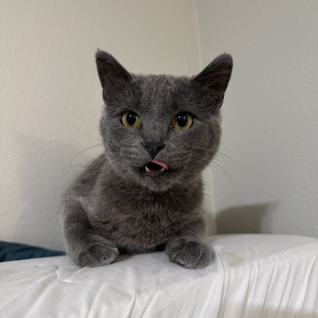 Maxine--In Foster