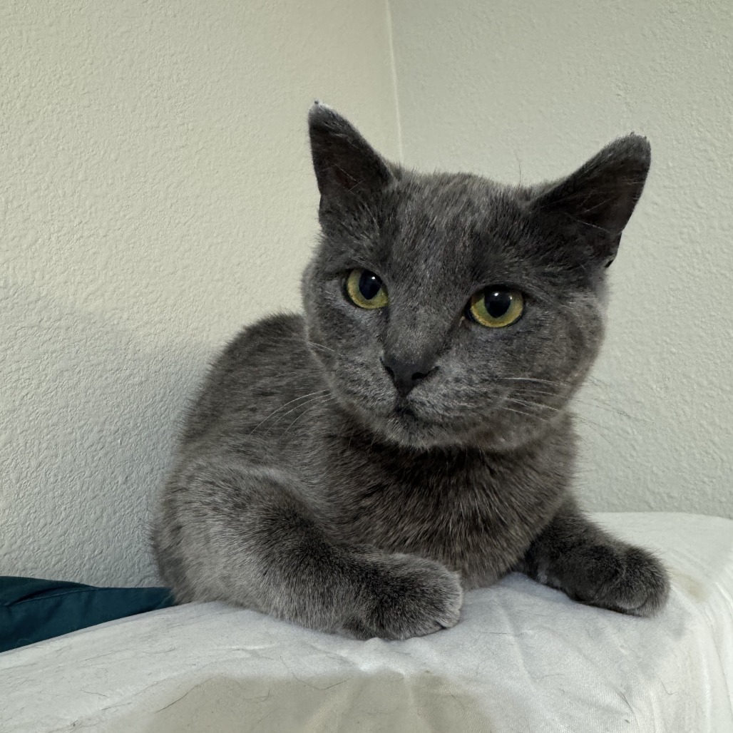 Maxine--In Foster