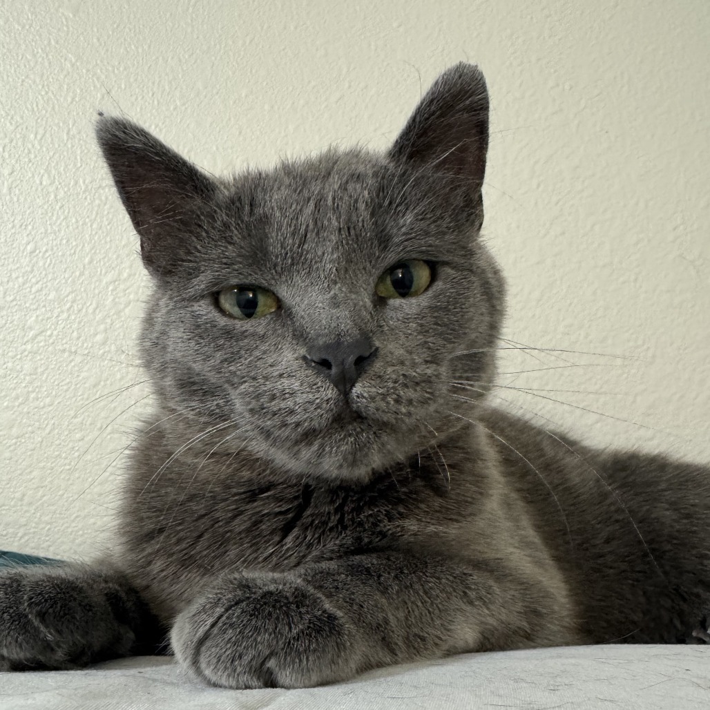 Maxine--In Foster