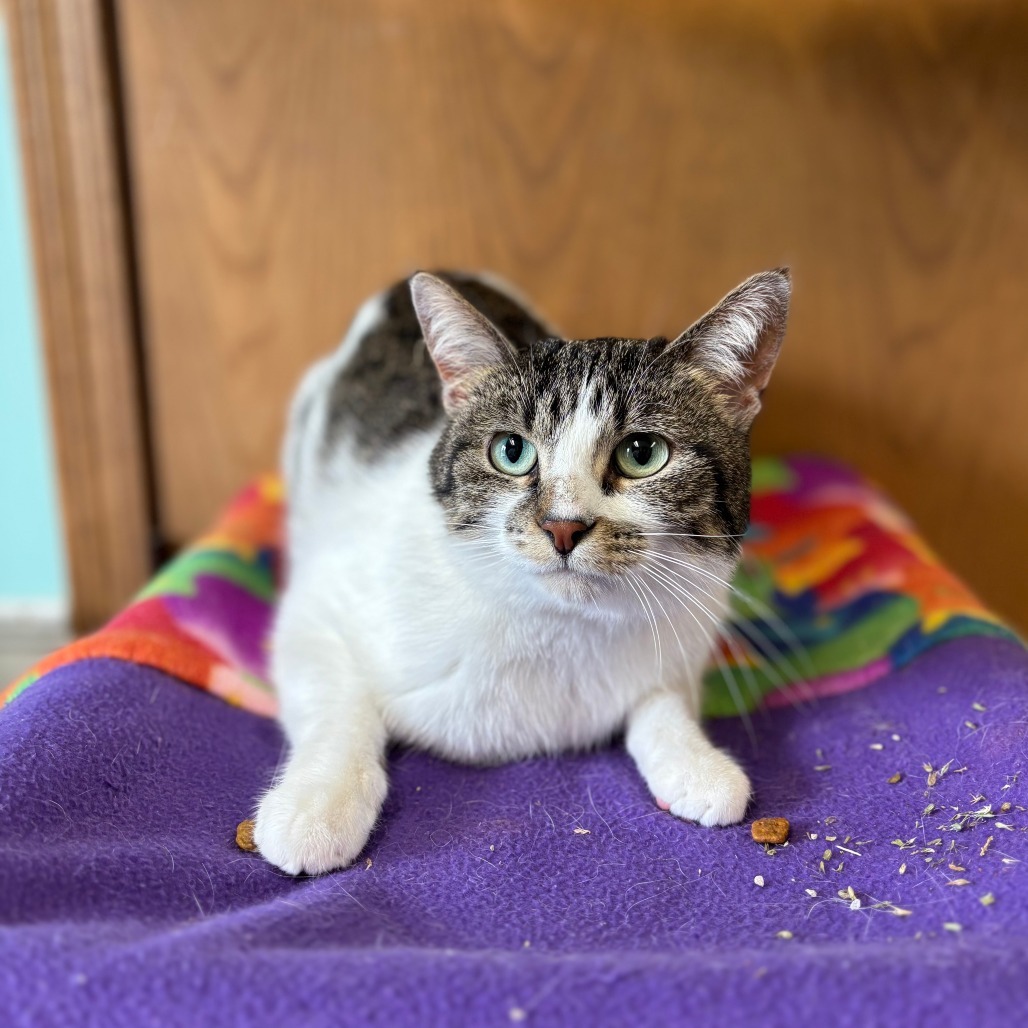 Kat--In Foster