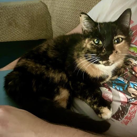 Amelia