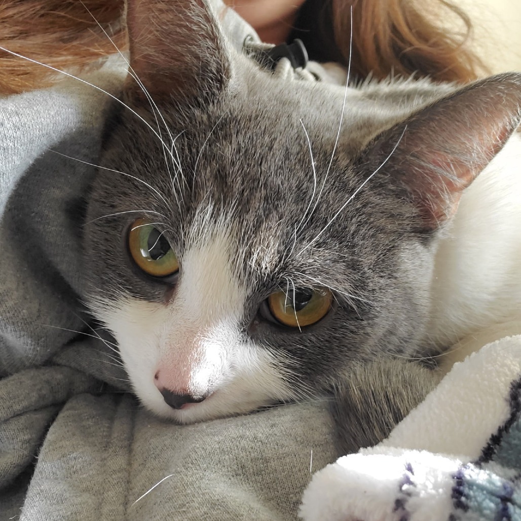 Rosie
