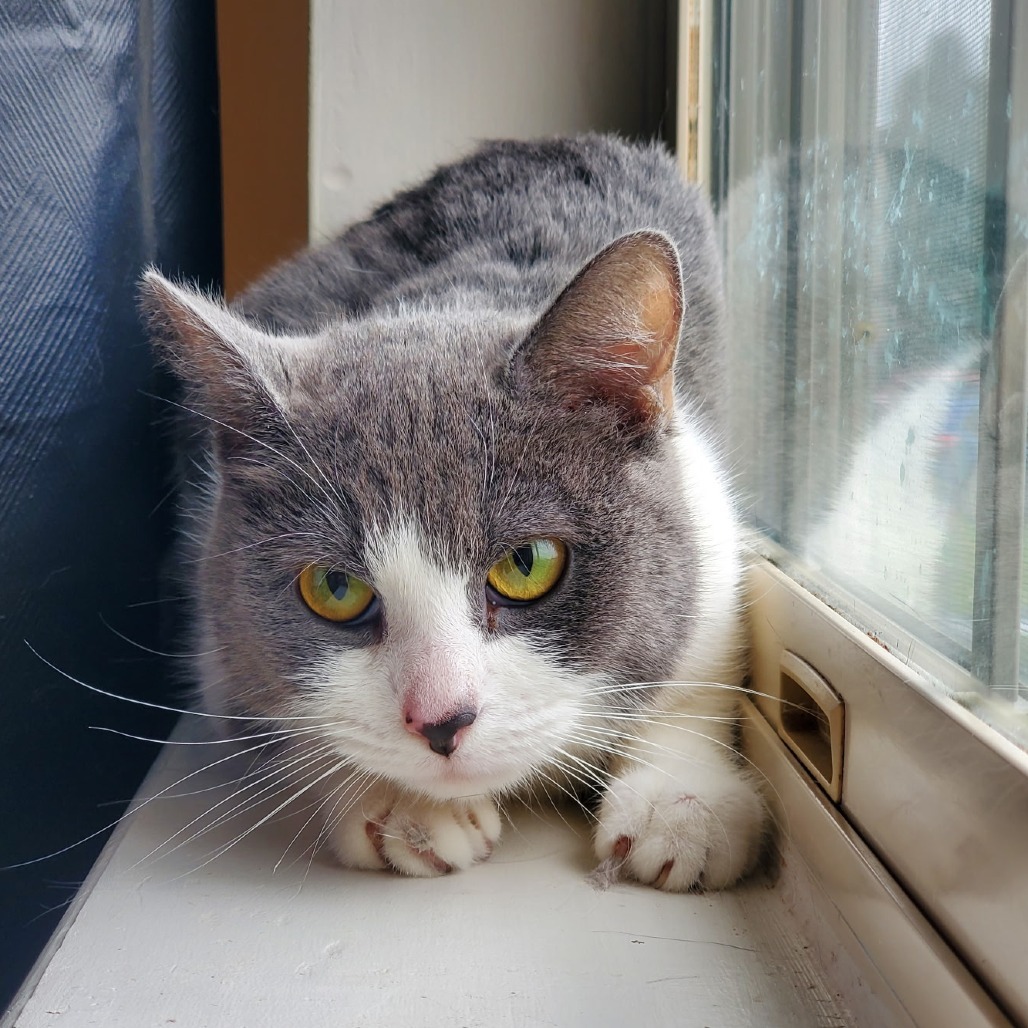 Rosie