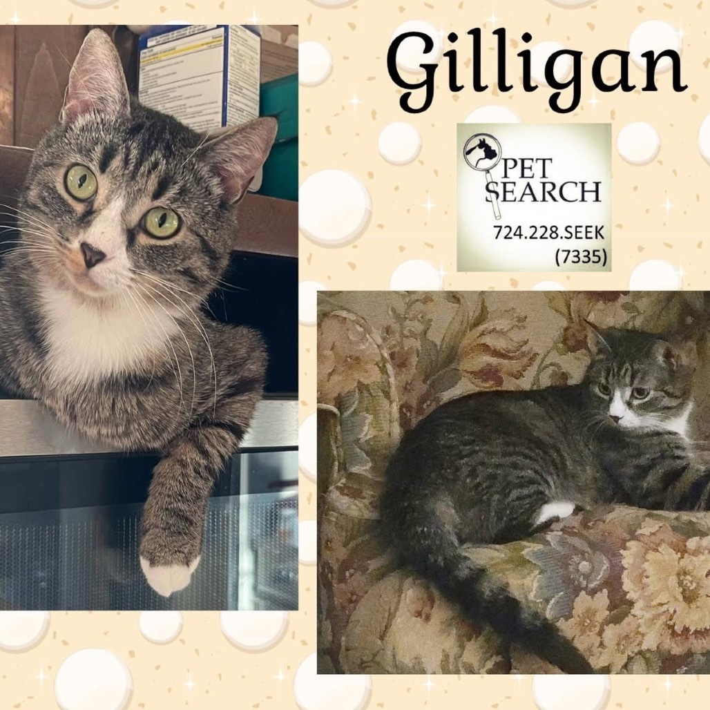 Gilligan