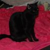Tiny (BFF034) photo 2