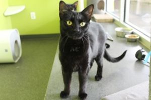 Hi there Im Flora Im a young friendly and slightly goofy gal with a lot of energy to share My