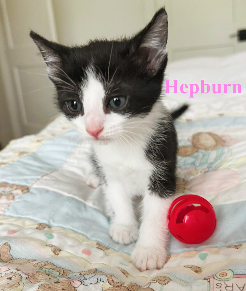 Hepburn