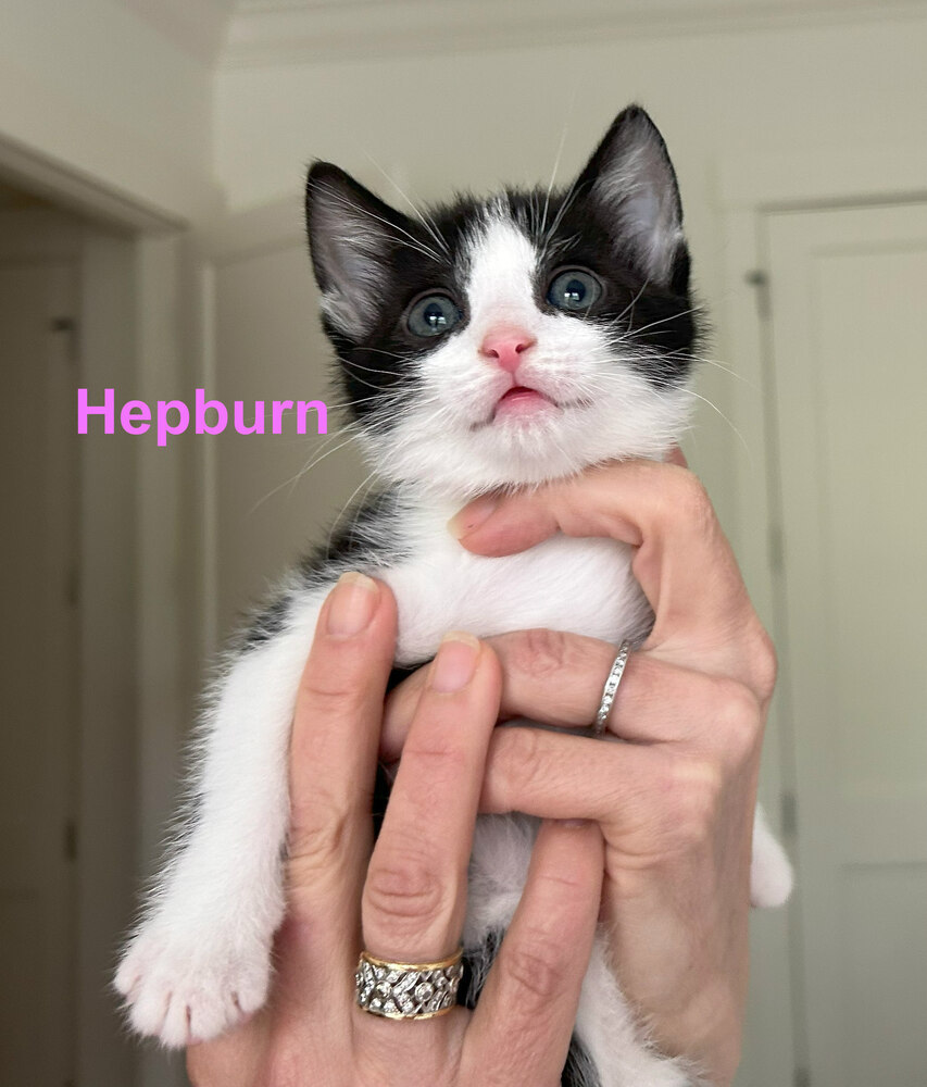 Hepburn