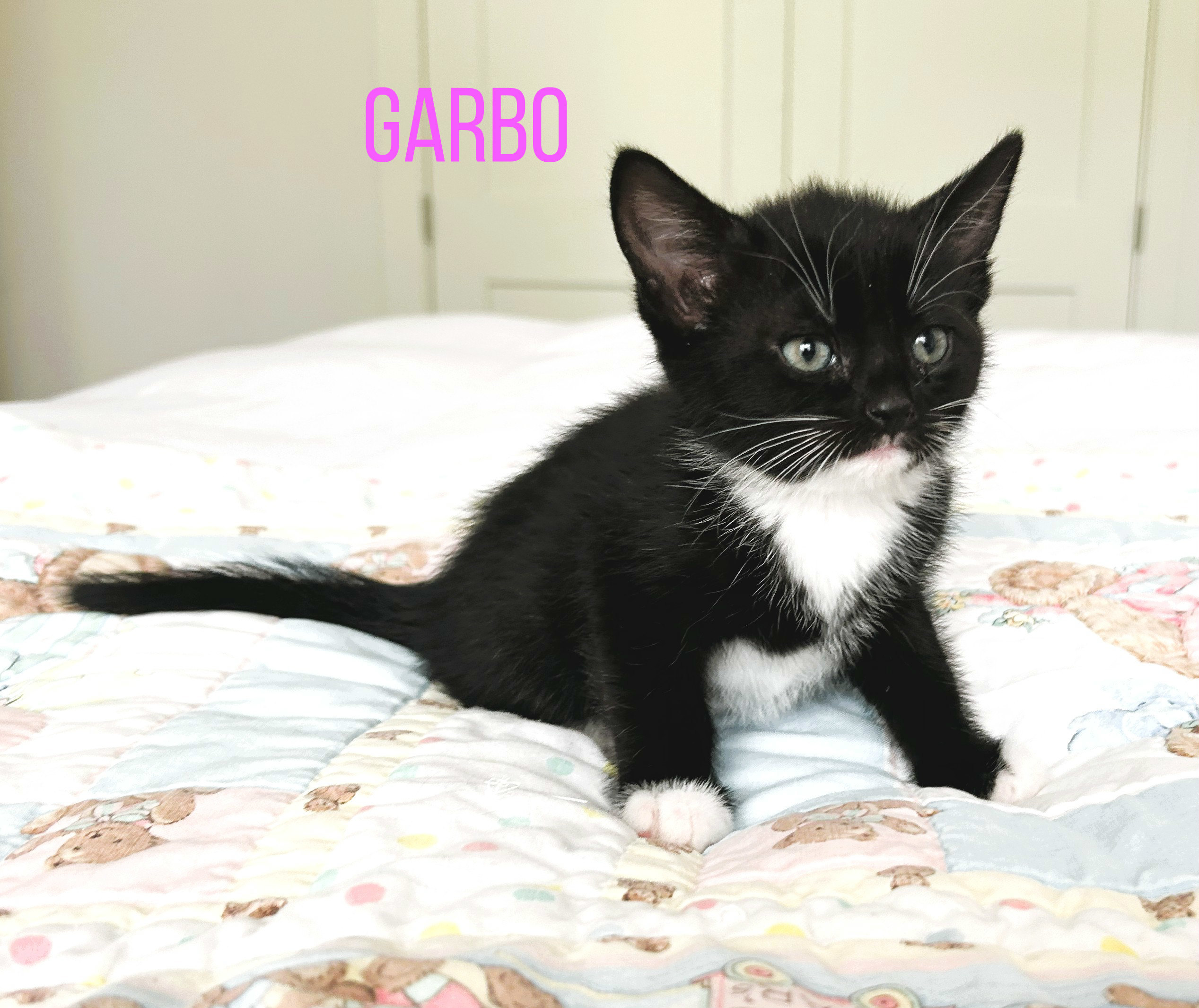 Garbo