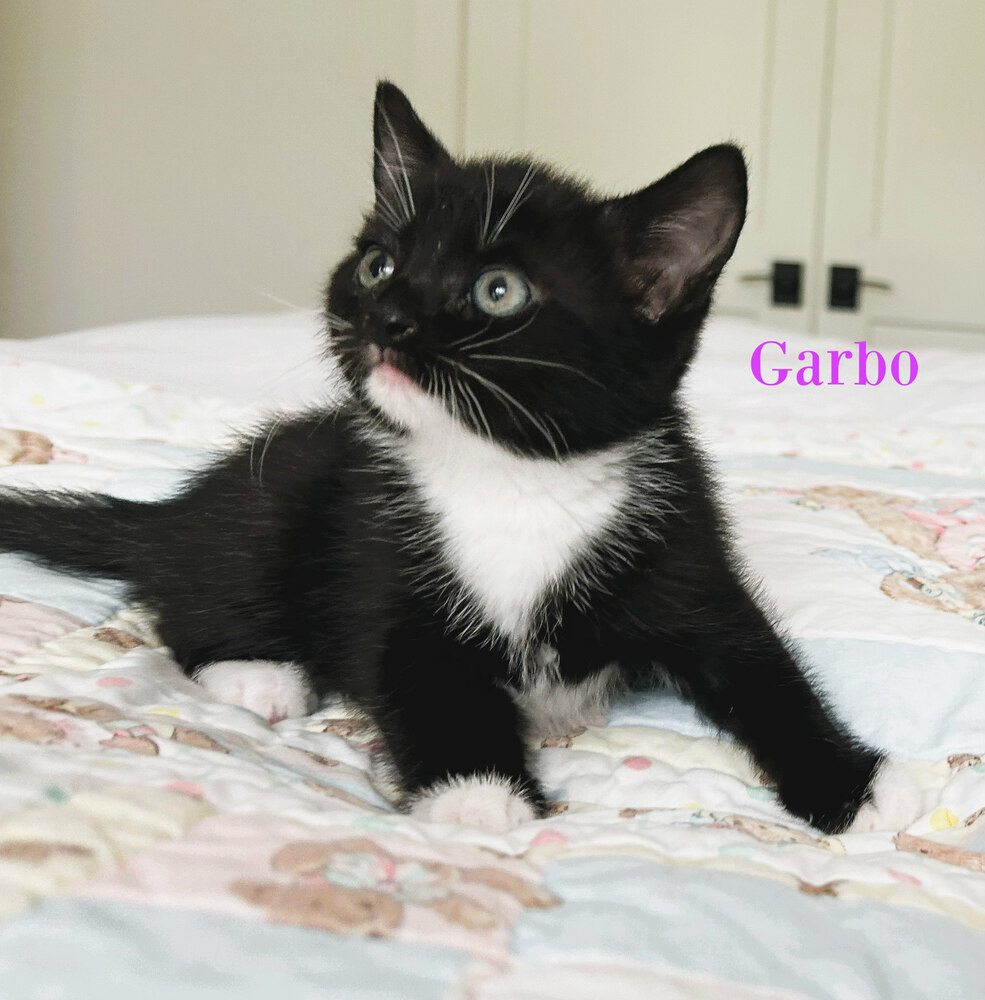 Garbo