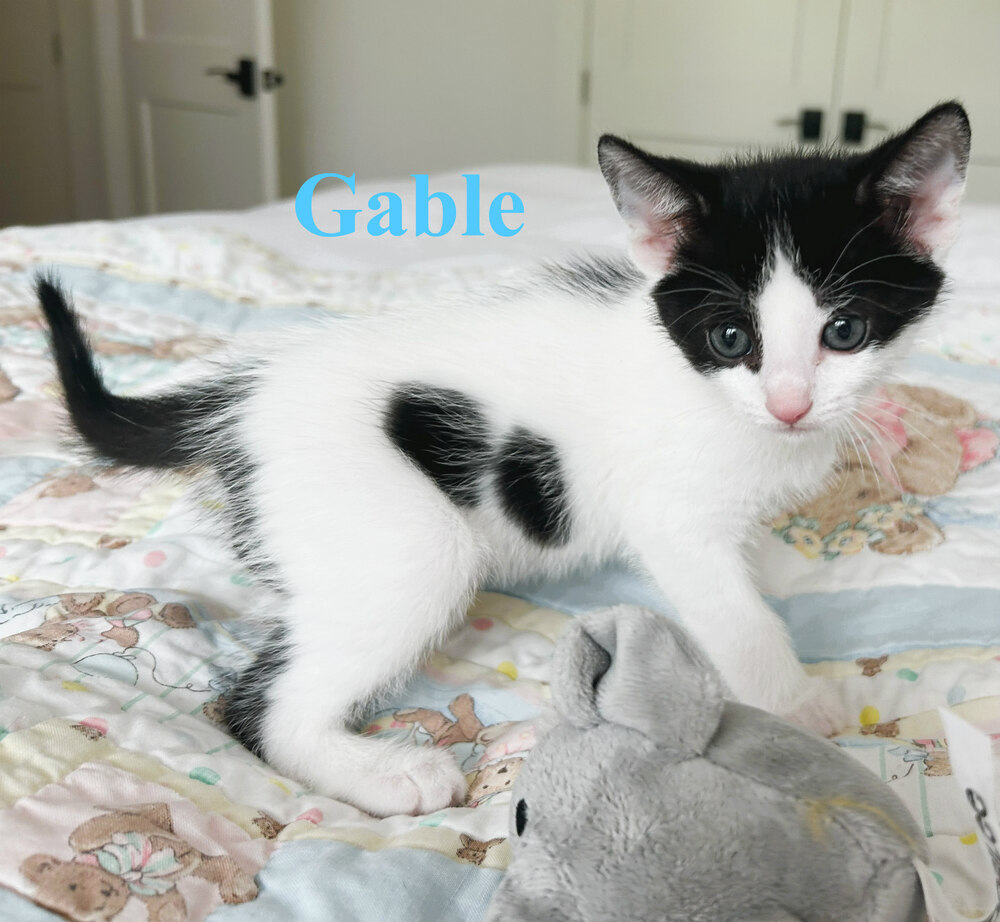 Gable