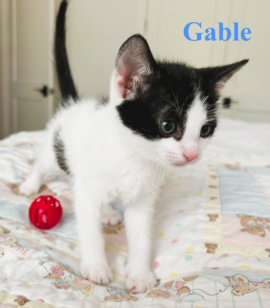 Gable