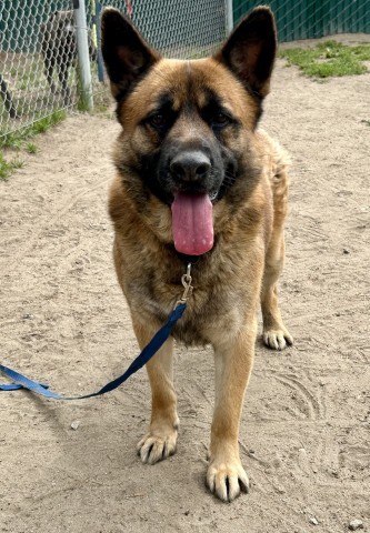 ZEKE