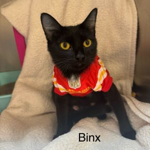 Mamma Binx, Young Female unknown