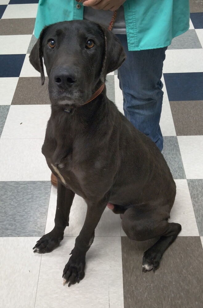 Rosco