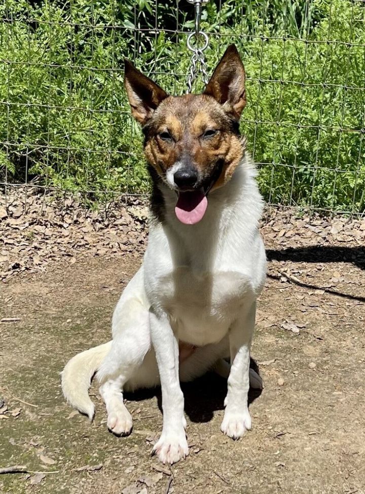 Lulu 2