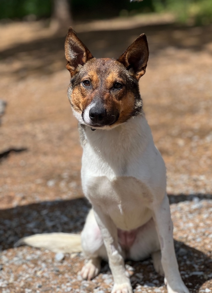 Lulu