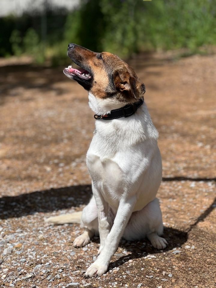 Lulu 4