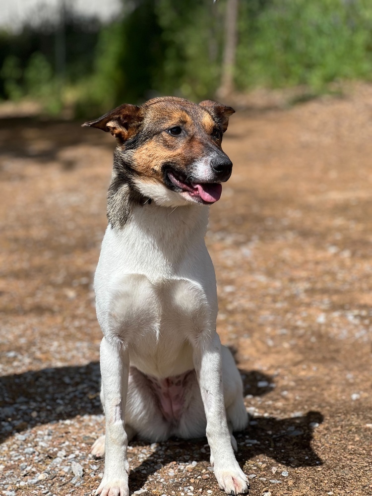 Lulu