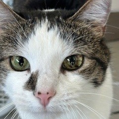 Lou, Senior Female unknown